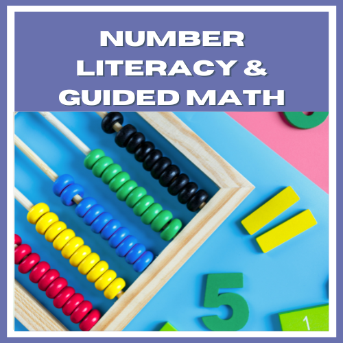 Number Literacy And Guided Math